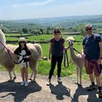 Nidderdale Llamas