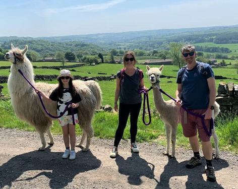 Nidderdale Llamas