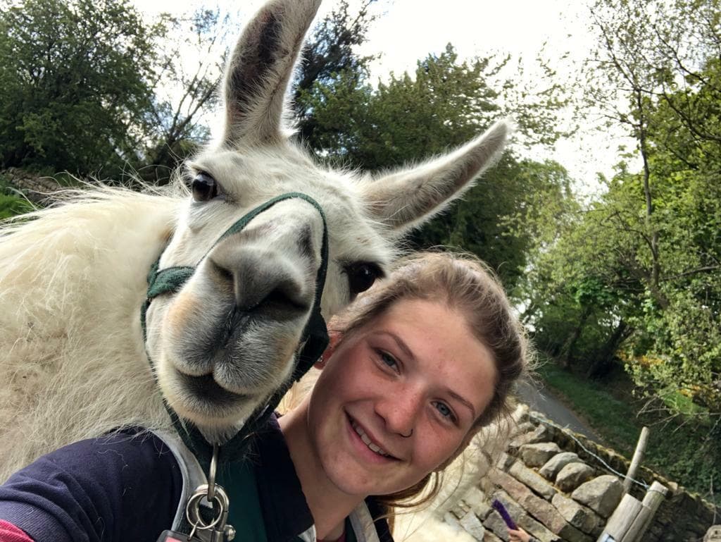 Llama Selfie with Rosebud