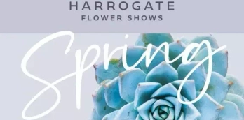 Harrogate Spring Flower Show