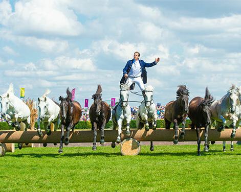 Great Yorkshire Show