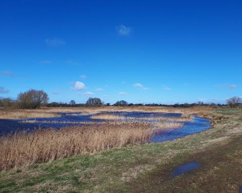 Ripon City Wetlands Nature Reserve