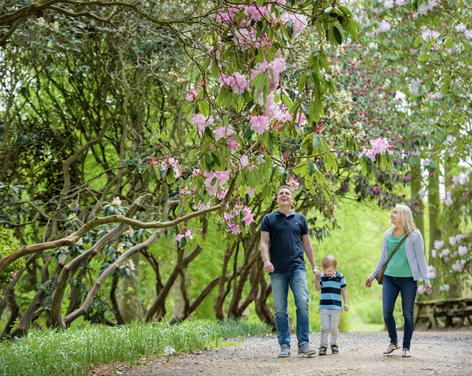 RHS Garden Harlow Carr