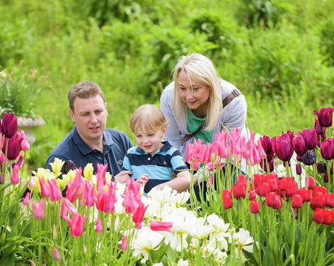 RHS Garden Harlow Carr