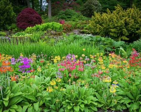 RHS Garden Harlow Carr