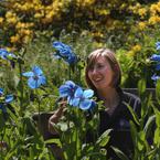 RHS Garden Harlow Carr