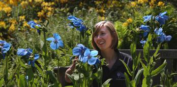 RHS Garden Harlow Carr