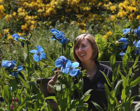 RHS Garden Harlow Carr