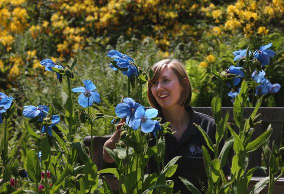 RHS Garden Harlow Carr