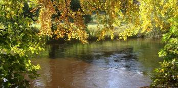 Nidd Gorge