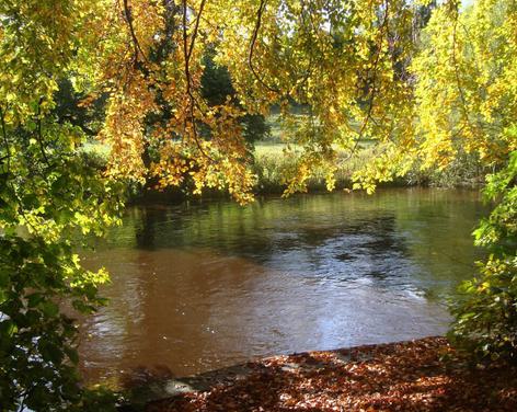 Nidd Gorge