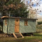 Strawberry Safari Glamping