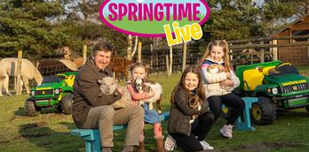 Springtime Live