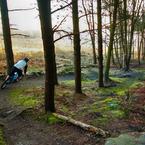 Stainburn Forest MTB Trails &...