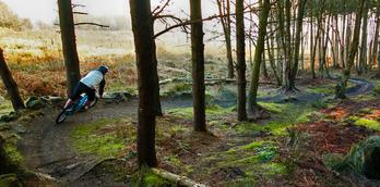 Stainburn Forest MTB Trails & Walks