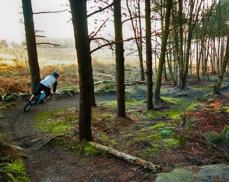 Stainburn Forest MTB Trails & Walks