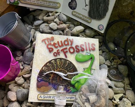 Half-Term Fossil & Gem Dig with Cavewoman