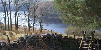 Thruscross Reservoir - Walk