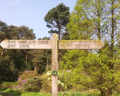 Walk from Valley Gardens to Harlow Carr