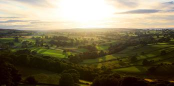 Home-grown in Harrogate and beyond