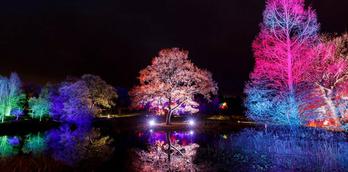 Glow - Winter Illuminations at RHS Garden Harlow Carr