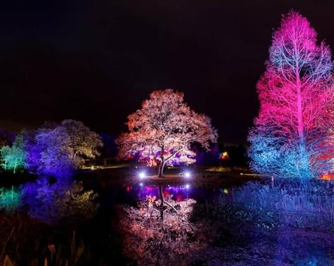 Glow - Winter Illuminations at RHS Garden Harlow Carr