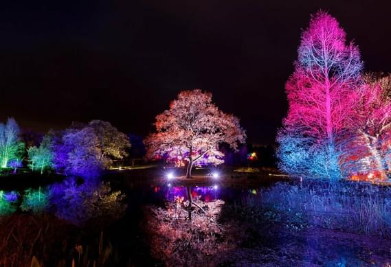 Glow - Winter Illuminations at RHS Garden Harlow Carr