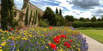 Summer Heroes at Beningbrough Hall Gardens