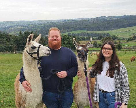 Nidderdale Llamas