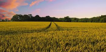 The Yorkshire Agricultural Society launch 'Farm to Fork'