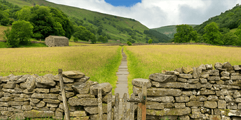 Yorkshire Dales Button