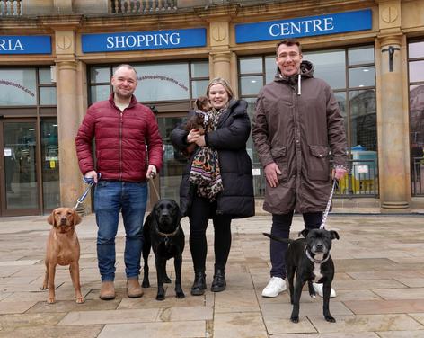 Harrogate Dog Show