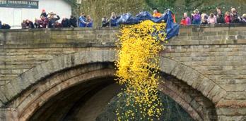 Knaresborough Duck Race