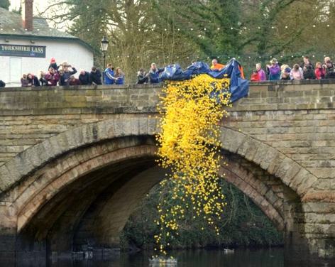 Knaresborough Duck Race