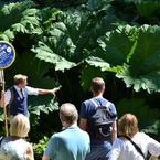 Free Walking Tour Harrogate