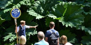 Free Walking Tour Harrogate