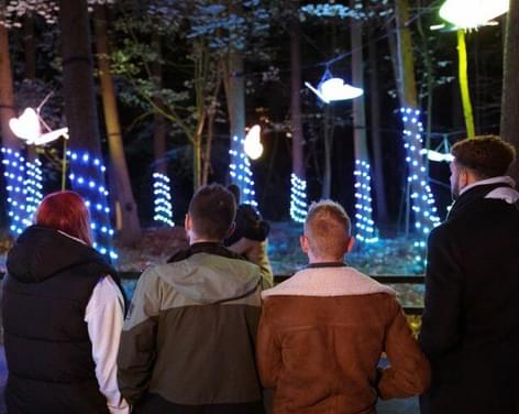 Winter Illuminations & Christmas Adventure at Stockeld Park
