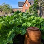 Kitchen Garden, at Rudding...