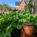 Kitchen Garden, at Rudding...