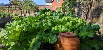 Kitchen Garden, at Rudding Park