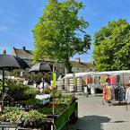 Masham Market