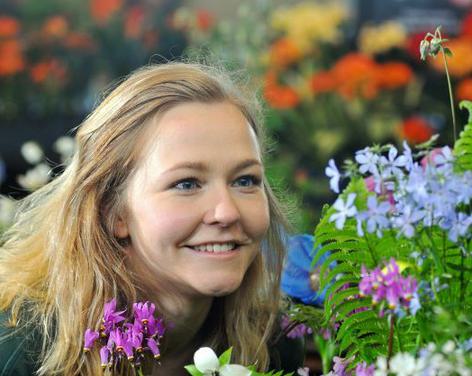 Harrogate Spring Flower Show