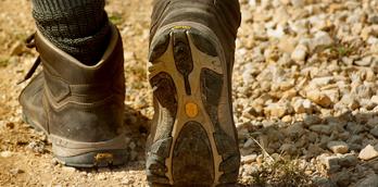 Boots, Gaiters and Vistas walk at Fountains Abbey