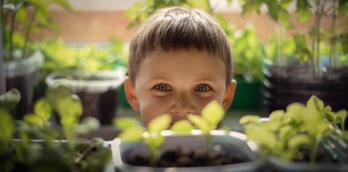 February Half Term: World on your windowsill