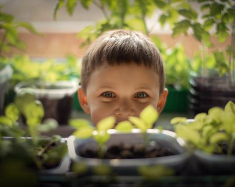 February Half Term: World on your windowsill