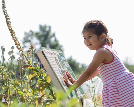 Summer Activities at the Workhouse Museum & Garden