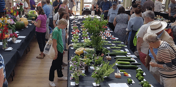 Harrogate and District Allotment Show