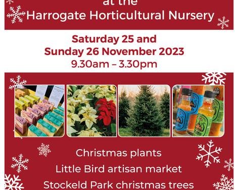 Christmas Artisan Market at Horticultural Nursery