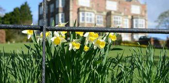 National Garden Scheme - Spring Opening