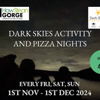 Dark Skies Activity and Pizza...